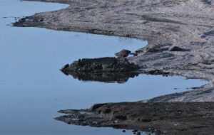 Новини України - На Харківщині критично обміліло водосховище