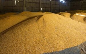 Новини України - Розвідка розшукала 39 суден "зернового флоту РФ"