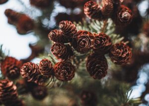 Новини культури - Свята 11 квітня 2025 року: що не можна робити в цей день
