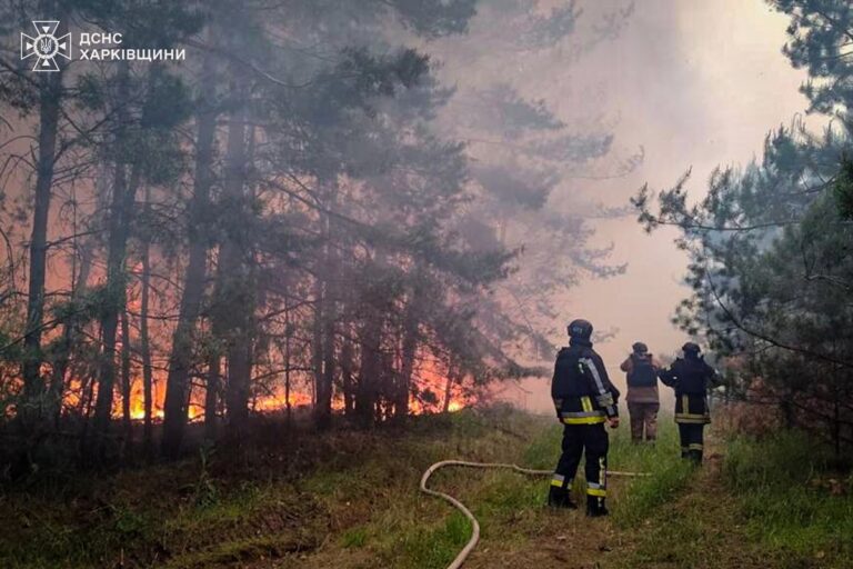 На Харківщині локалізували масштабну лісову пожежу