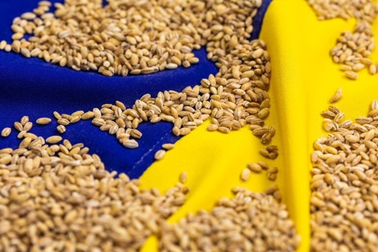 Став відомий найбільший імпортер агропродукції України серед країн ЄС