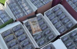У посилках з Німеччини: викрито канал постачання наркотиків в Україну