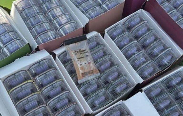 У посилках з Німеччини: викрито канал постачання наркотиків в Україну