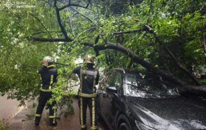 На Буковині через негоду понад 26 тисяч споживачів залишились без світла