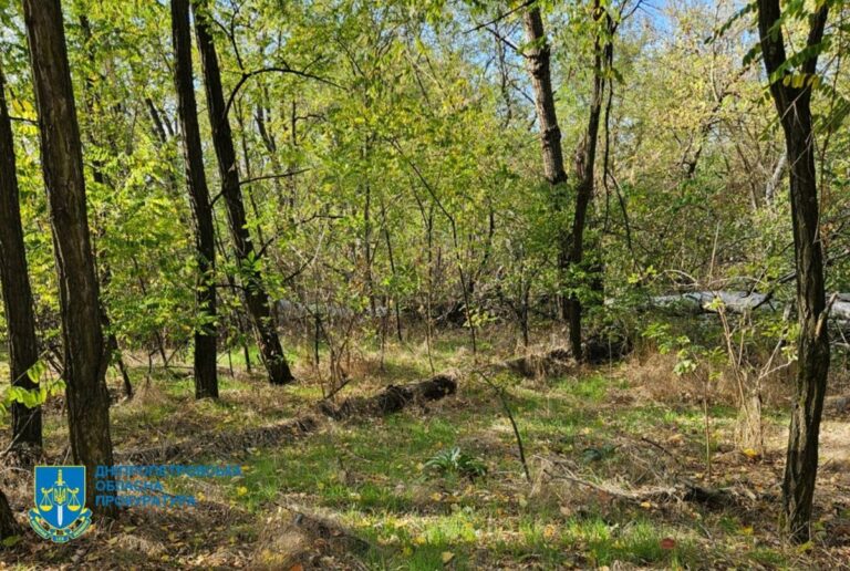Незаконна вирубка лісу на Дніпропетровщині призвела до 34 млн збитків