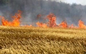 Росіяни вдарили по Кіровоградщині: виникла пожежа