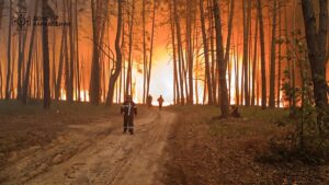 Спека та недбалість спричинили сотні пожеж по Україні