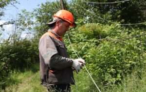 У семи областях України сталися знеструмлення