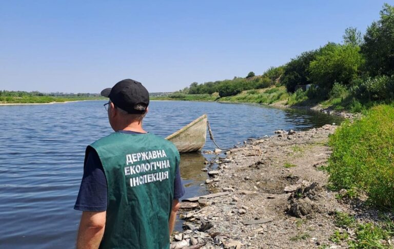 В озері на Запоріжжі зафіксували масовий мор риби