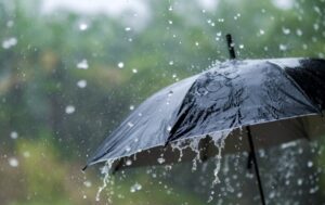 В Україні прогнозують спеку, місцями дощі з грозами