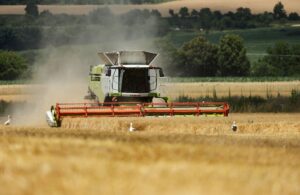 Новини України - В Україні значно зросла вартість гектара землі