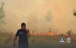 У Запоріжжі пожежа охопила острів Хортиця