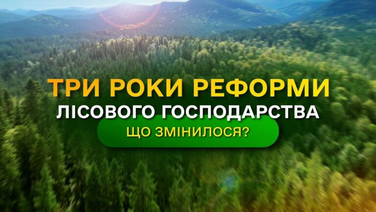 Результати ЛІСОВОЇ РЕФОРМИ – що отримала УКРАЇНА? / ДП “Ліси України”