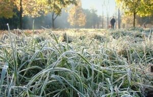 На вихідних в Україні холодна погода та заморозки