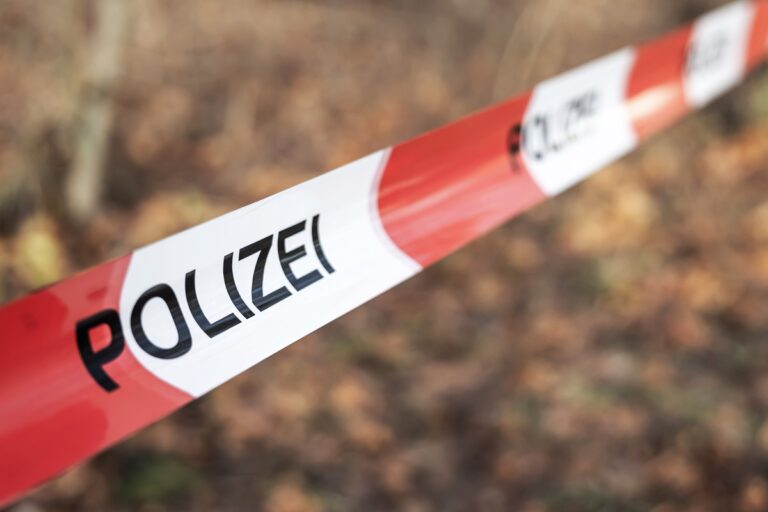 У Німеччині вбили 16-річну українку, штовхнувши під вантажний потяг