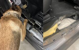 Новини України - На Львівщині в авто виявили 27 кг наркотиків з Польщі