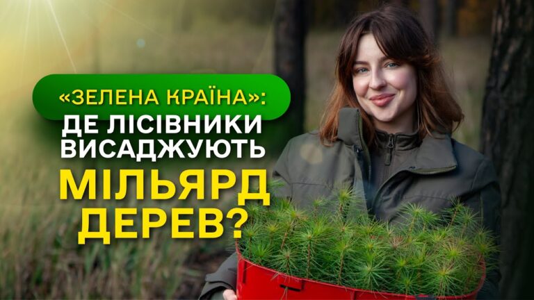 Замість уламків РАКЕТ – молодий ЛІС / ДП “Ліси України” завершує програму Президента ЗЕЛЕНА КРАЇНА