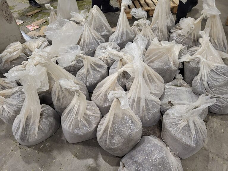 У Литві виявили найбільшу в історії партію героїну