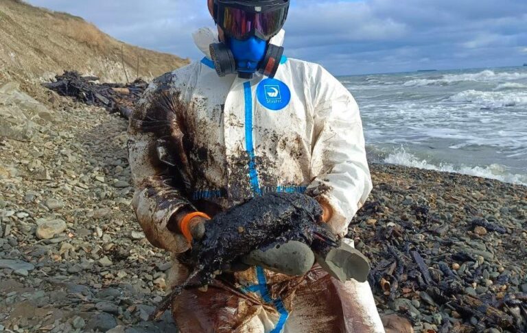 Величезні мазутні плями зафіксували в Керченській протоці – соцмережі