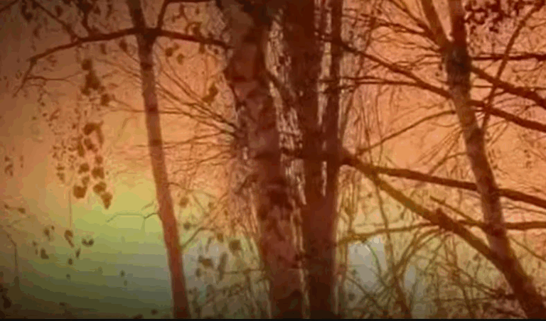 ЗСУ уразили російський НПЗ та склад дронів в Криму