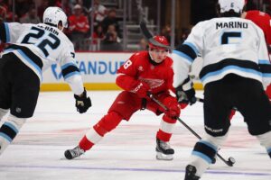 Новини спорту - НХЛ: домашня невдача Детройта та поразка Вегаса