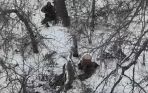 Росіяни розстріляли двох полонених на Донеччині