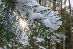 Сніг та нічні морози: якої погоди слід очікувати на вихідних