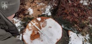 Новини України - Суд розгляне справу ексочільника ДСНС, який "розчистив" заказник на 7 млн