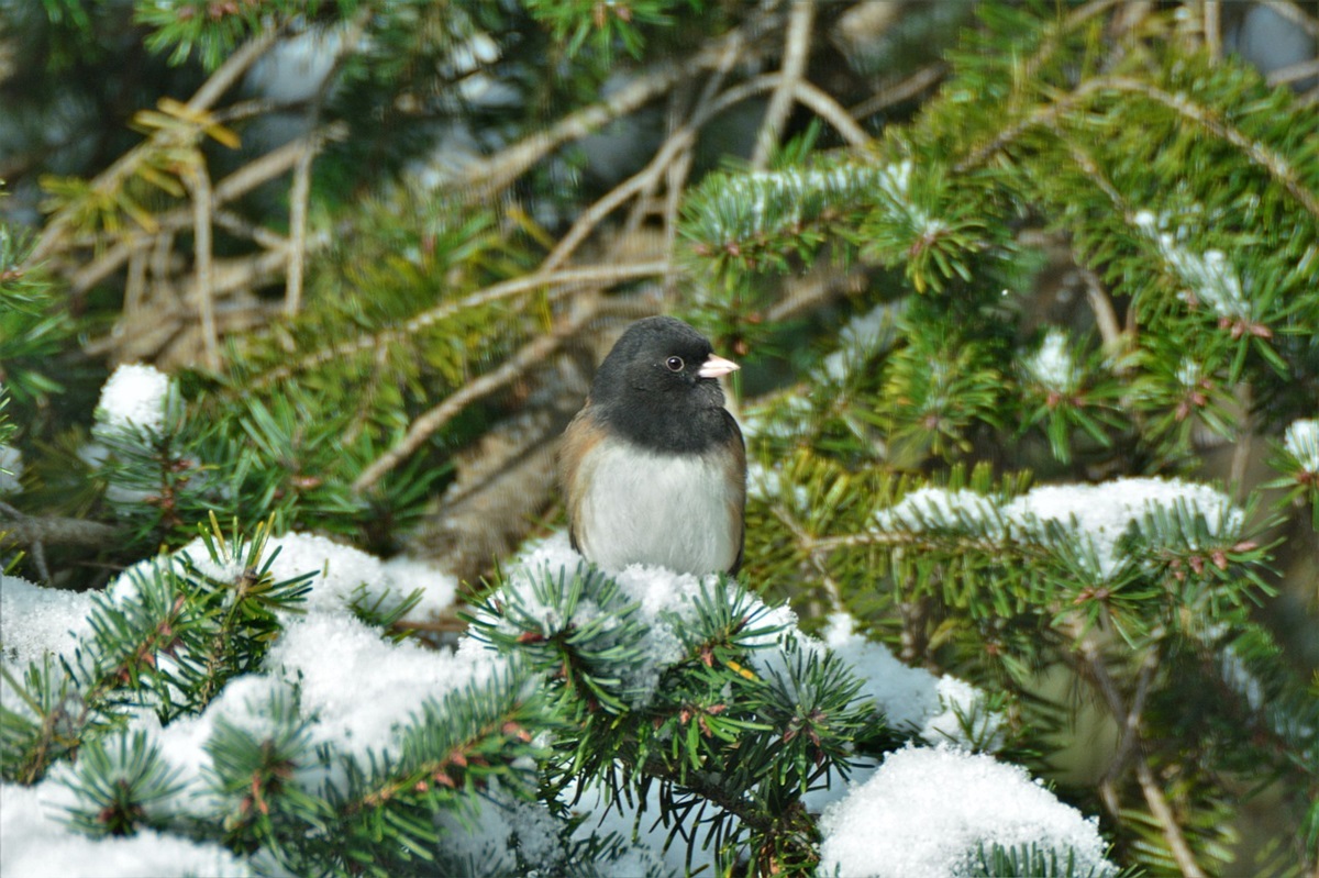 Новини культури - Гороскоп для всіх знаків зодіаку на 6 січня 2026 року