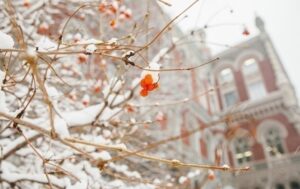 Нацбанк знову зміцнив курс гривні