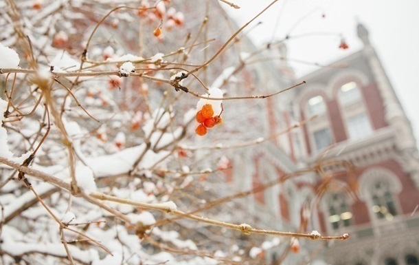 НБУ “спалив” понад $1 млрд для підтримки гривні