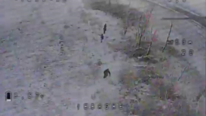 Новини України - Прикордонники завадили окупантам прорвати держкордон на Харківщині