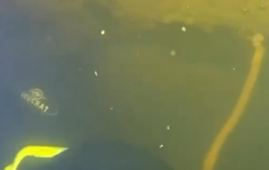 Водолази ДСНС провели підводну операцію при -15&deg;C