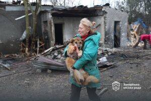 Росіяни вдарили по собачому притулку у Запоріжжі