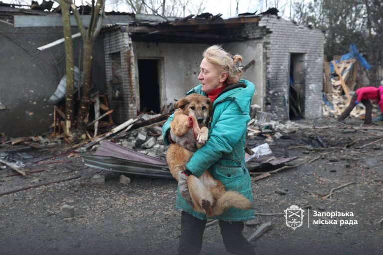 Росіяни вдарили по собачому притулку у Запоріжжі