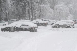 У США лавина накрила групу лижників: багато жертв