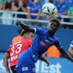 В Олександрії поповнення африканським колоритом