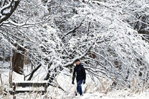 В Японії через снігопади загинули 35 людей