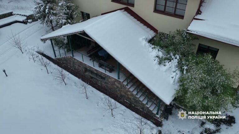 Захопили землю: підозру отримали експомічник народного депутата та  депутат Закарпатської облради