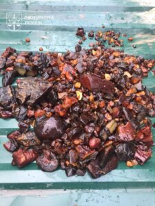 На Рівненщині викрили схему видобутку бурштину на сотні мільйонів