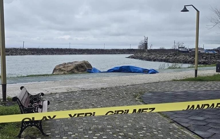 На узбережжі Туреччини виявили двометровий дрон