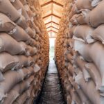 ООН попереджає про ризик глобального голоду через війну в Ірані