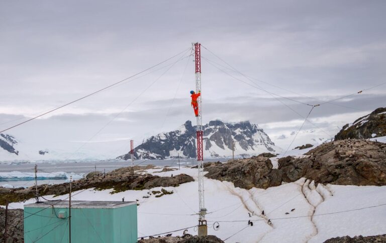 Пінгвіни, птахи і тюлень: українські полярники перемогли у фотоконкурсі
