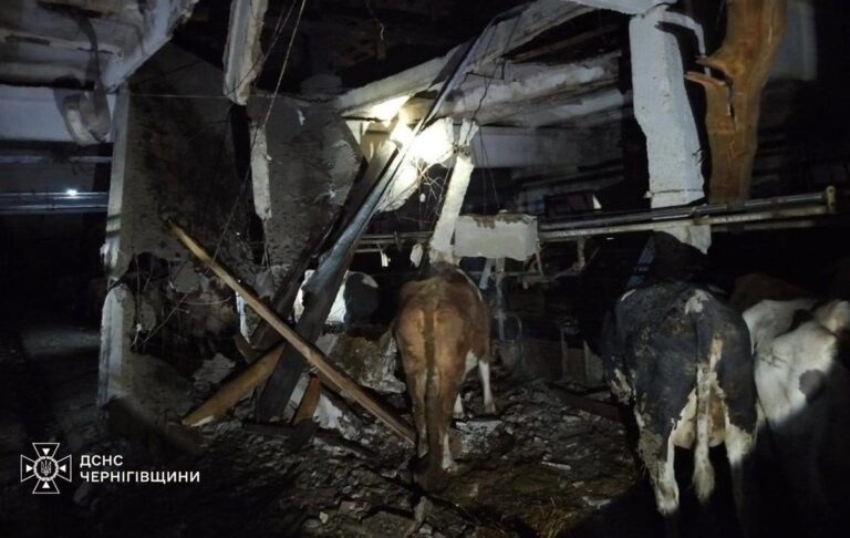 РФ атакувала сільгосппідприємство на Чернігівщині