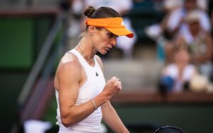 Світоліна завершила виступи на турнірі в Індіан-Веллсі