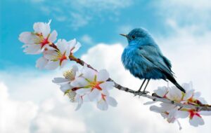 Свята 18 березня 2026: події, факти, іменини