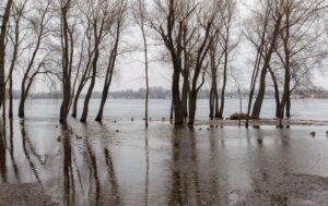Уряд прогнозує в Україні масштабні весняні повені