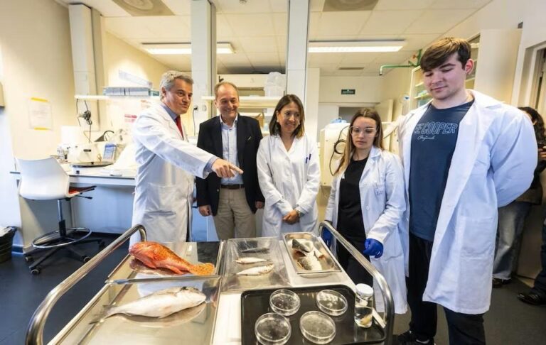 В Іспанії створили штучну рогівку з риб&rsquo;ячої луски