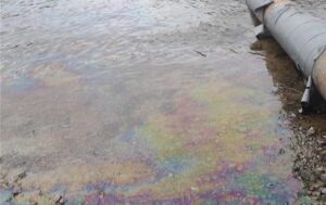 Забруднення Дністра: у Молдові виявили нові нафтові плями і мертвих птахів