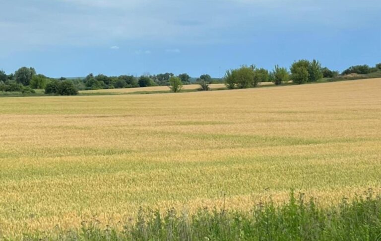 Державі повернули понад 500 га особливо цінних земель НААН